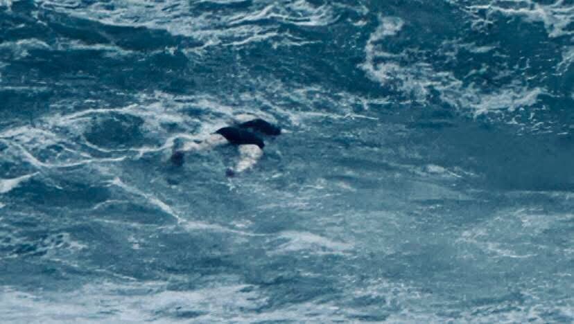 Quattro cadaveri di migranti trasportati dalla mareggiata sulle spiagge della Calabria, è la scia di morti del ciclone Harry