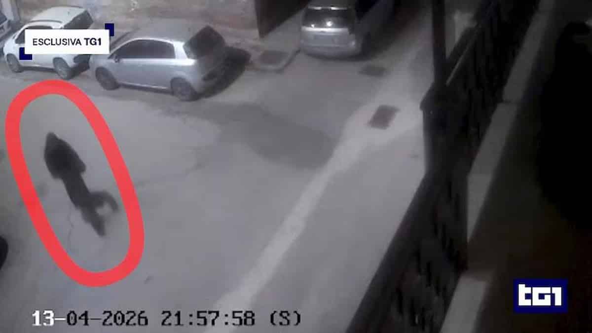 Ucciso mentre porta fuori il cane, il video con il killer di Annibale Carta in bicicletta: “Non ti disturbo mai più, te lo giuro”