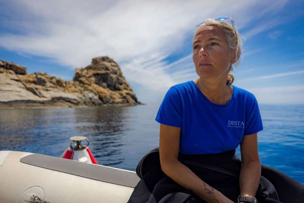 Monica Montefalcone nelle foto di archvio impegnata in attività con Greenpeace. La ricercatrice del DISTAV dell’Università di Genova è morta durante un’immersione alle Maldive 15 Maggio 2026 DISTRIBUTION FREE OF CHARGE – NOT FOR SALE (Foto Ufficio Stampa Greenpeace/LaPresse)