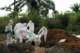 Ebola, nuovo focolaio nel Congo dilaniato dalla guerra civile: 246 casi sospetti e 65 morti