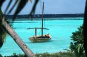 Cinque turisti italiani morti alle Maldive, la tragedia durante un’immersione subacquea in una grotta